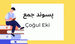 پسوند جمع در زبان ترکی استانبولی
