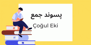 پسوند جمع در زبان ترکی استانبولی
