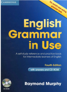 Grammar in Use 4