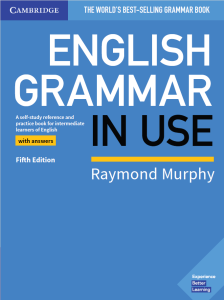 Grammar in Use 5